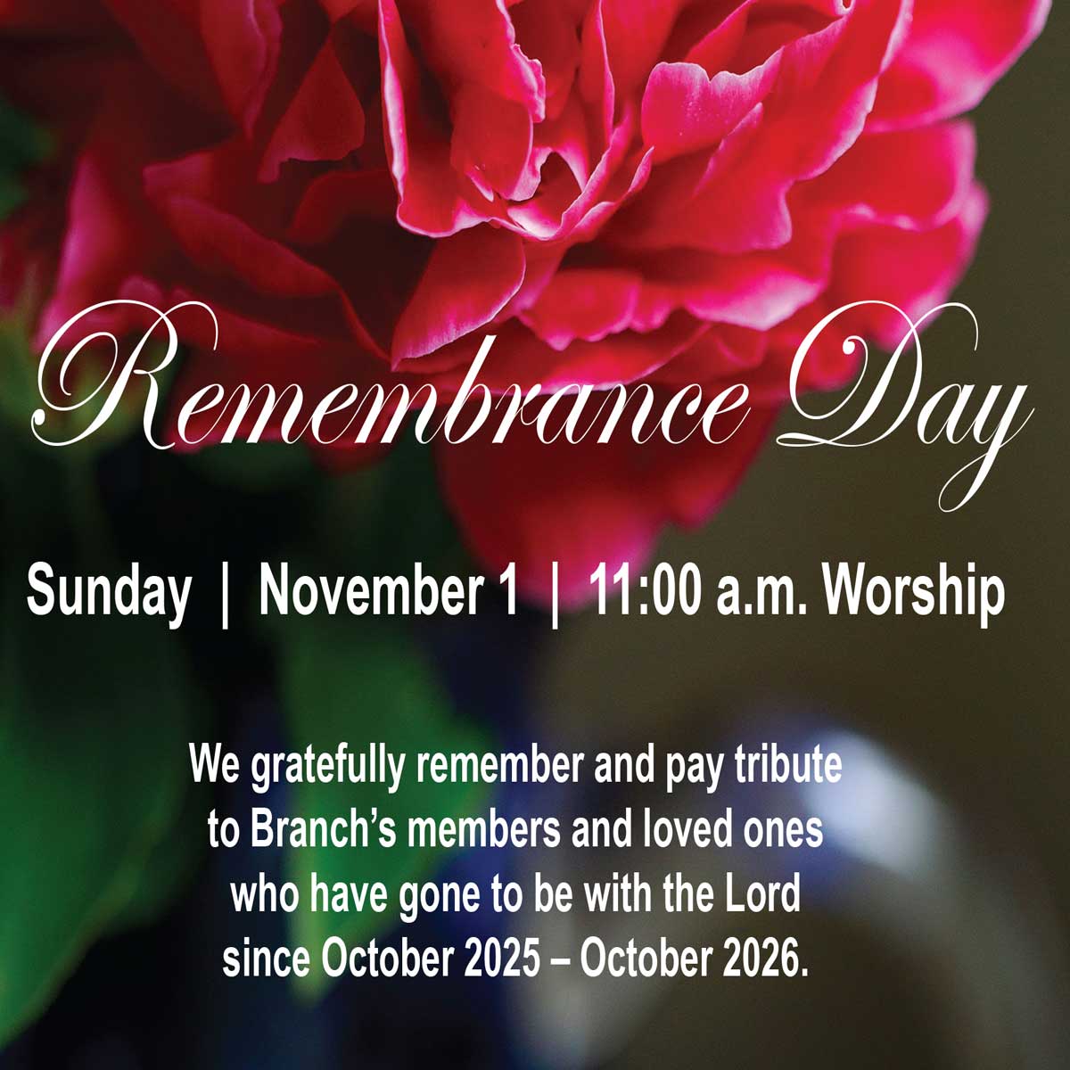This Week at Branch's